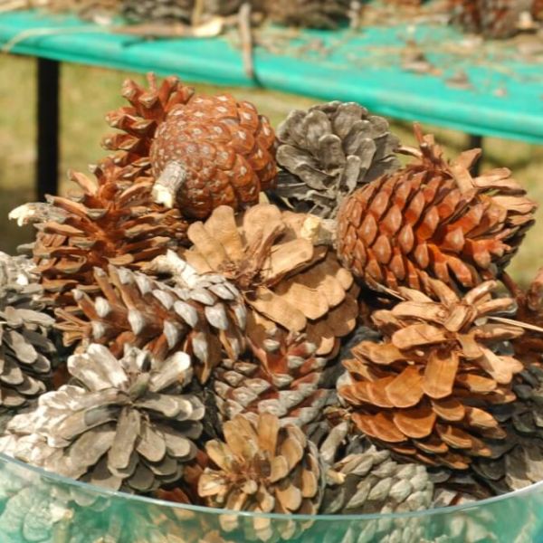 מתחם סדנאות יצירה